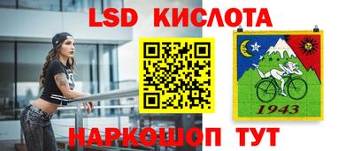 прущие крисы Камышлов