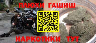 прущие крисы Камышлов