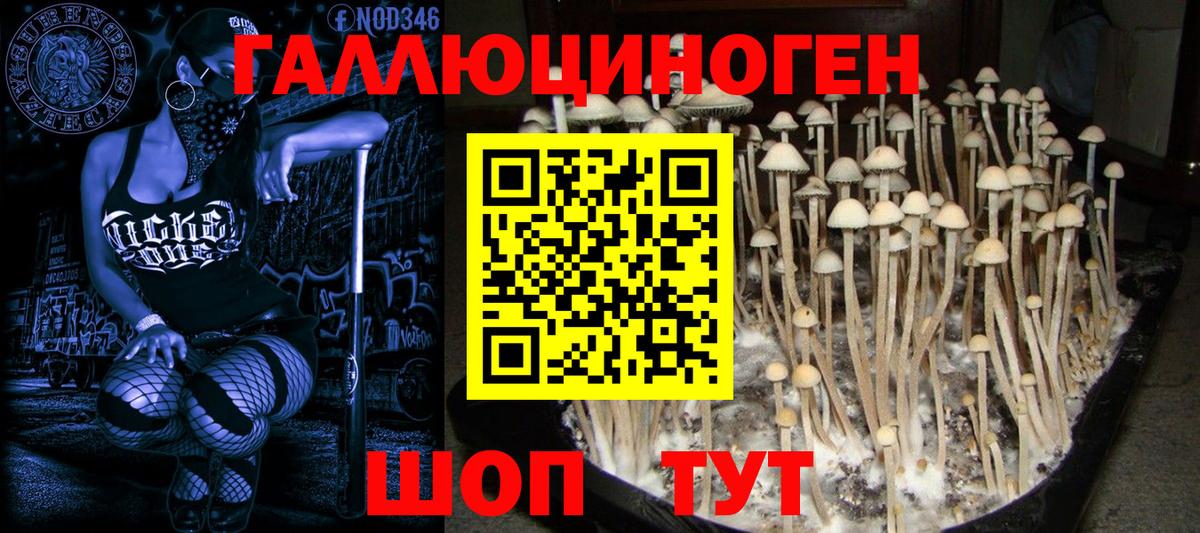 Галлюциногенные грибы ЛСД Краснокаменск