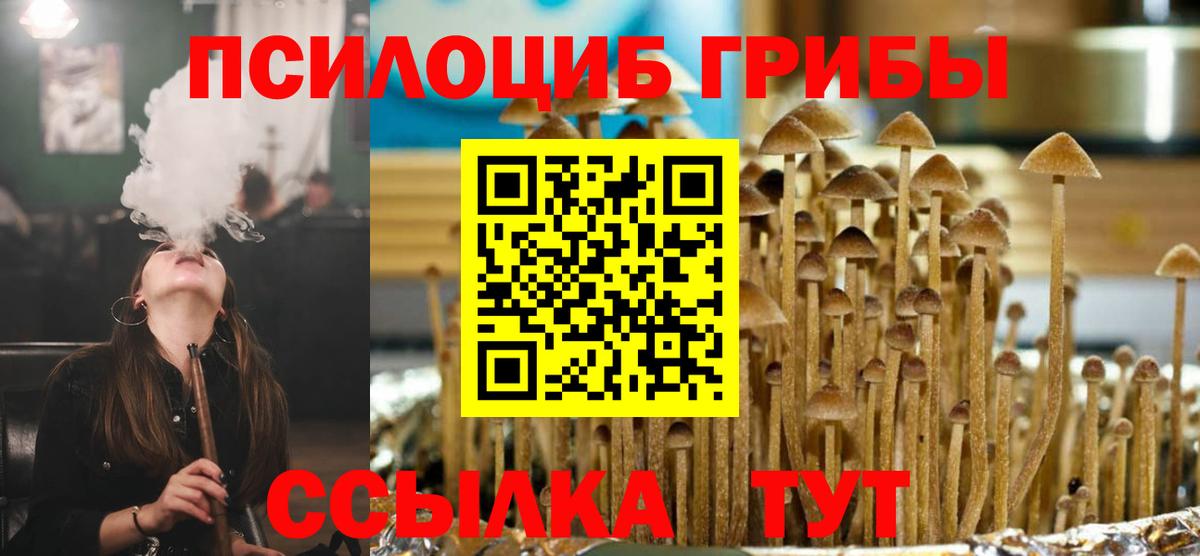 Краснокаменск  Псилоцибиновые грибы GOLDEN TEACHER  Вход с VPN  Галлюциногенные грибы прущие грибы 